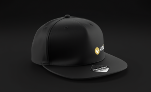 Alternative view of VAGEN - Lippis