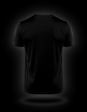 Alternative view of VAGEN - T-paita, original